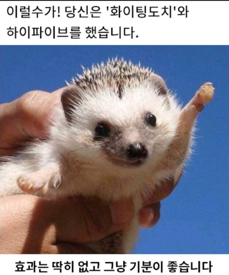 오후도 화이팅_월요일 오후도 화이팅 !.jpg