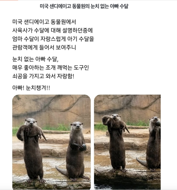 ef7a8aee73adf692f3ec3074ed92befd_1779640238_143.png