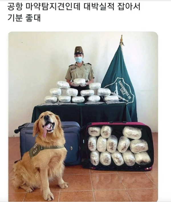 117a888c59a19bdd2db1df4aaaf94c49_1782263192_606.png