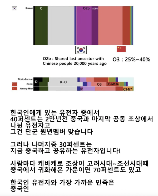 75f94b7151b558eed53a56ace7ff1007_1782435690_9668.png