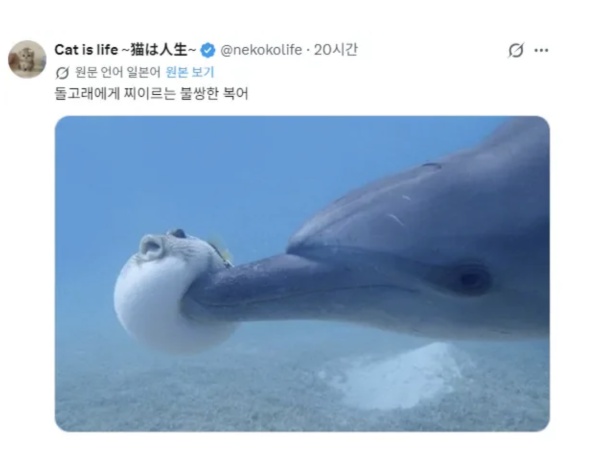 aa09d7310db34fbfb51c4ee737b1dd1a_1780632389_2661.png