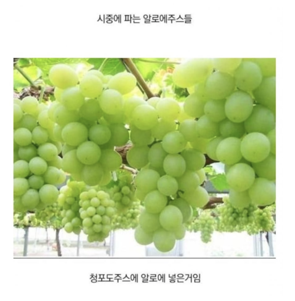 4a35cb59c24656146bcd00c896fc74b8_1783389125_0863.png