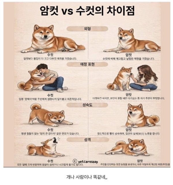 ee578abaa0fc09247e32153167748311_1782959400_0265.png